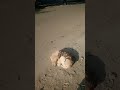 kya tujhko meri yad aati nahi