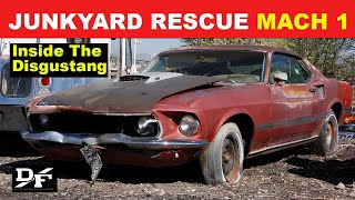 Update on The DISGUSTANG, the Junkyard 1969 Mach 1!