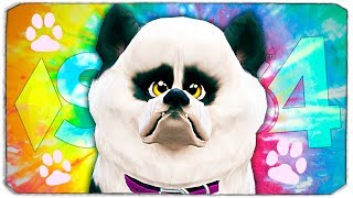 THE SIMS 4 - 100% УГАР - ЧУДО ГЕНЕТИКИ - УГАРНЫЕ СОБАКЕНЫ (СИМС 4) THE SIMS 4 - 100% УГАР - ЧУДО ГЕНЕТИКИ - УГАРНЫЕ СОБАКЕНЫ (СИМС 4)