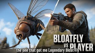 Bloat Fly Encounter That Caught Me Off Guard