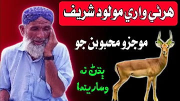 ھرڻي واري مولود شريف New Sindhi Molood Sharif 2023 