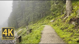 Impressive Mountain Creek Nature Walk 4K (With Ambient Nature Sounds And Music)