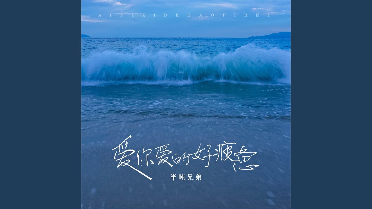 爱你爱的好疲惫 (DJ阿卓版伴奏)