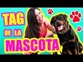 Mi Perro Rottweiler! Es PELIGROSO? 😥 Tag de la Mascota con Karim - SandraCiresArt