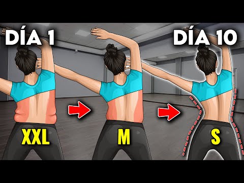 ¡10 Ejercicios Para Eliminar La Grasa Del Abdomen (SOLO DE PIE)