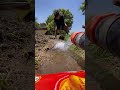 Day 1 to Day 30 Full Journey | Profit Ya Loss? #farming #villagerlifestyle #nature #agriculture