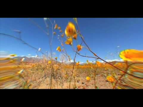 "Just You" by the Milk and Honey Band