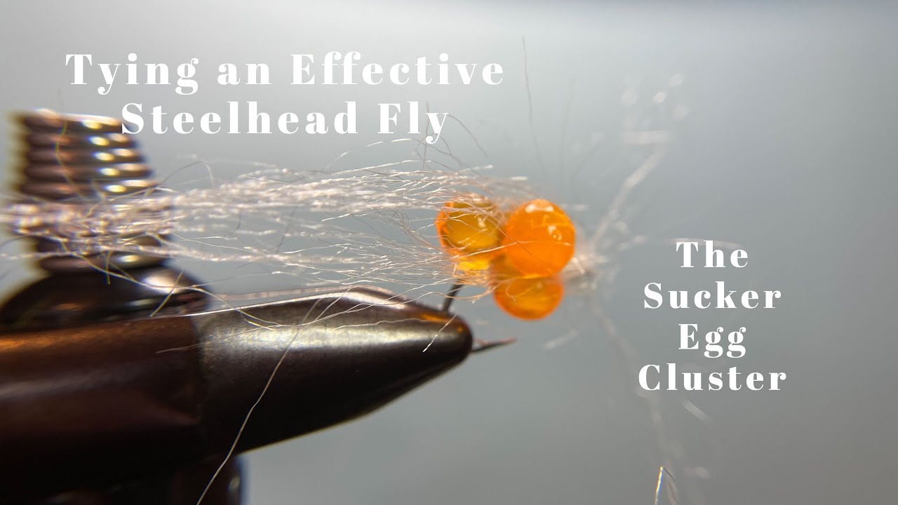 Steelhead Fly Tying- The Sucker Egg Cluster 
