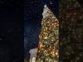 Disney Springs Festive Lights |  Snow 🎄✨ #happynewyear y #ChristmasLights #shorts