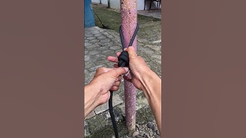 incredible strong loop knot #knot #diy #knottutorial #rope