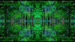 Mushroom Trip Experience (Trippy Video)