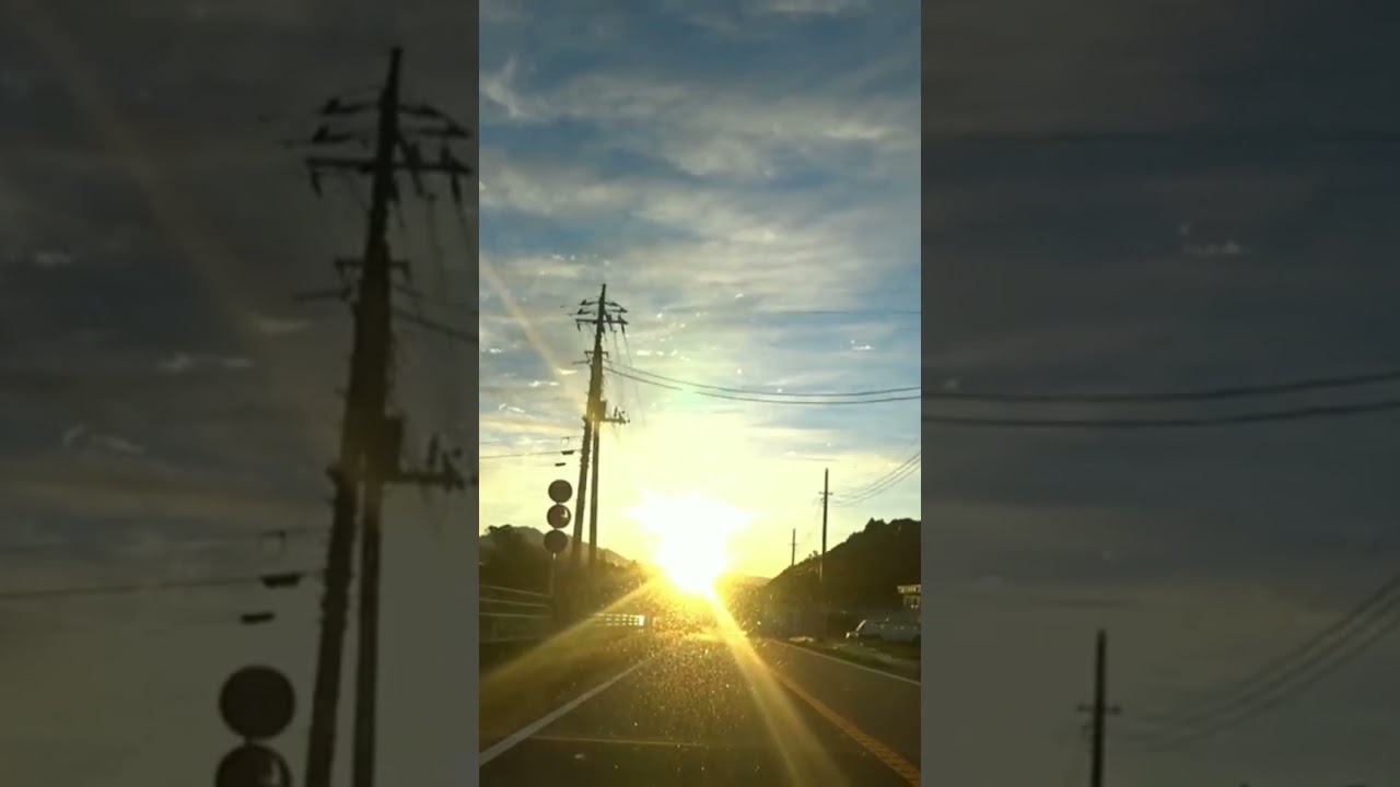 Watch #愛は不死鳥 #布施明 #昭和歌謡曲 #懐メロ #shorts on YouTube Watch #愛は不死鳥 #布施明 #昭和歌謡曲 #懐メロ #shorts on YouTube