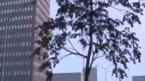 MODEM Music Video Preview