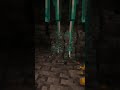 Minecraft Diamond trap