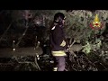 Disagi maltempo sul territorio: allagamenti, alberi in strada e tetti pericolanti