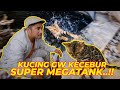 DARI KECIL KUCING BENGAL GW TERNYATA LANGGANAN DOKTER..?? #PART05