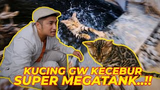 DARI KECIL KUCING BENGAL GW TERNYATA LANGGANAN DOKTER..?? #PART05