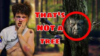 WHO Made These Trees EVIL Net Worth