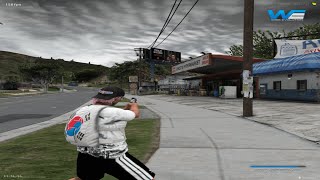 Fivem Highlights Louttz #28 🎮 (Wise Evolution)