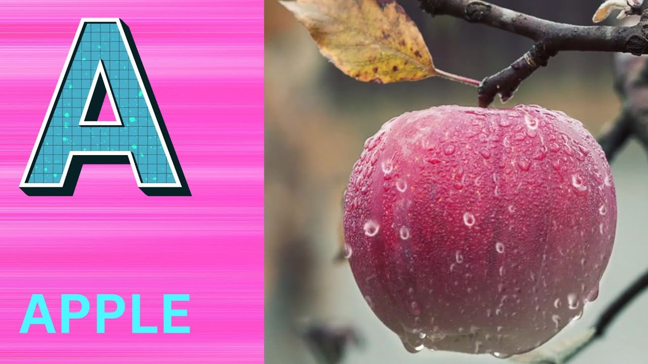 ABC Phonics Song | Alphabet letter sounds | ABC learning for toddlers | Education ABC Nursery Rhymes