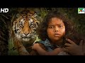 Tiger attacks on maheshwar  sher ka shikaar  best scene  mohanlal kamalinee mukherjee namitha