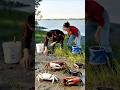 Survival Skills: SIMPLE and USEFULL #bushcraft #camping #outdoor #shortvideo #outdoorwork