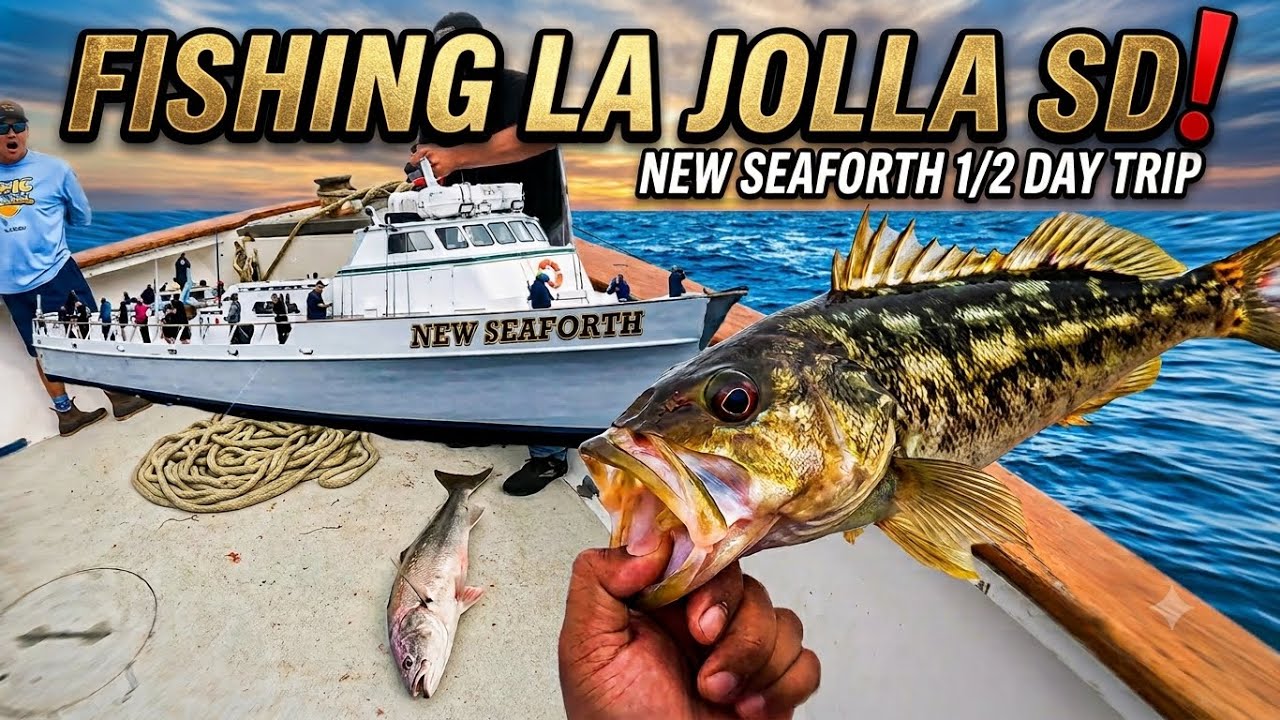 Fishing La Jolla, San Diego on the New SeaForth 1/2 day Trip! (calico, white seabass & barracuda)