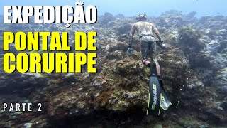 Hunters Pesca Sub - Água Cristalina - Dia Do Peixe Vermelho