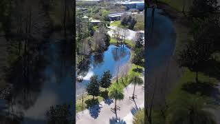 Drone Views: UCF Memory Mall 🛸 🗡️ 🐴 #ucf #ucfknights #drone #dronevideo #dronefootage #dji