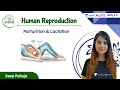 Parturition & Lactation | Human Reproduction | L12 | Unacademy NEET | Seep Pahuja