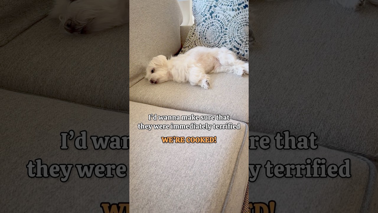 He would protect us through 😜 