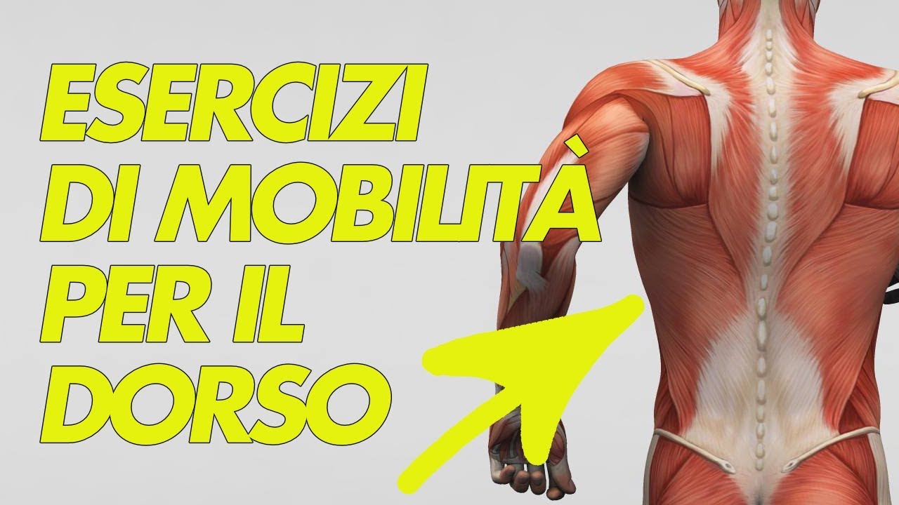 Ottimi Esercizi di Mobilità per la Schiena e il Dorso con Alessio Corsi ...