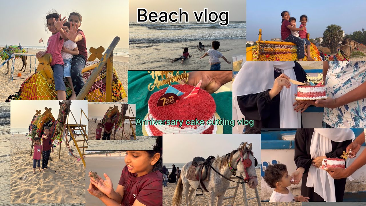 Anniversary cake cutting at beach | panambur Beach camel ride Mangalore | family vlog | Beach vlog
