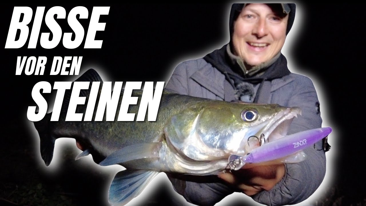 ZANDER jetzt kinderleicht fangen| Darauf musst du beim Wobbeln achten