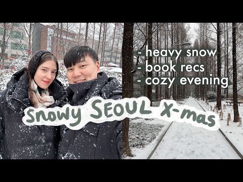 ❄️ Heavy Snow, <strong>Book</strong> Recommendations 📚 A Cozy Evening at <strong>Home</strong> 🎄 VLOG