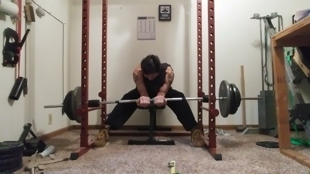 Barbell wrist curls (green iron bull grips) 251×10🕵 YouTube