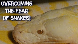Overcoming the Fear of Snakes