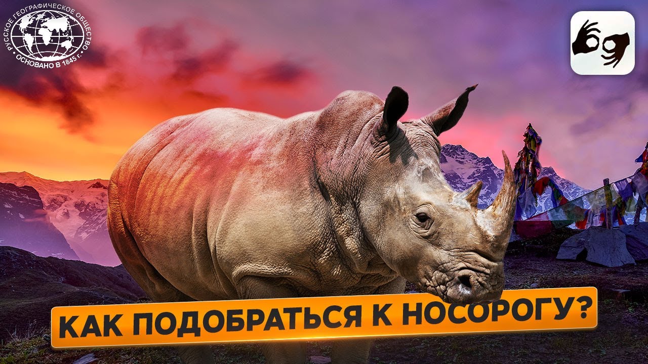 Давай дружить, География! Непал, Читван  |  @Русское географическое общество ​