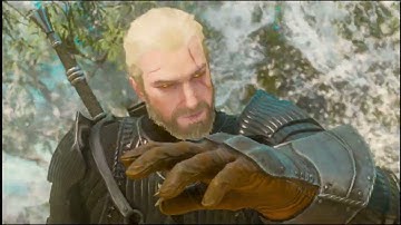 There Can Be only One The Witcher 3 Quest