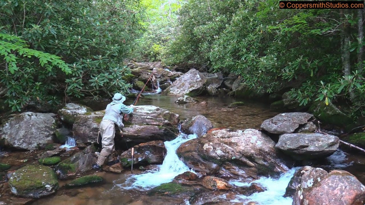 Fly Fishing the Dark Prong and Yellowstone Prong of the Pigeon River, North Carolina