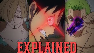 Haki FULLY Explained…