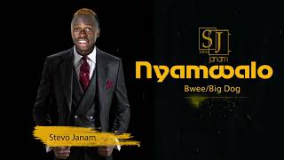 Stevo Janam Nyamwalo