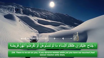 الربع 3|الحزب 4- بصوت أبو بكر الشبراوي (سورة البقرة)من 232 الى242