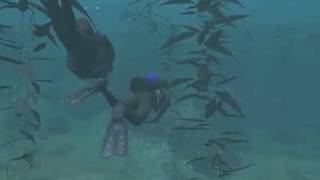 eDiving Virtual BuddyDiving