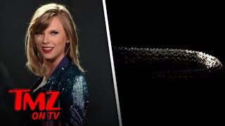 Celebrity Taylor Swift’s Comeback! | TMZ TV Profile