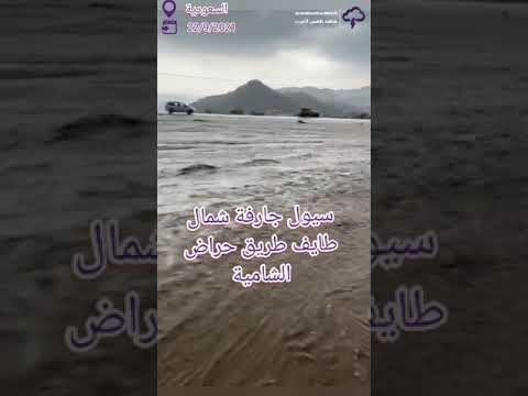 أمطار وسيول تاريخية شمال الطايف طريق حراض الشامية 