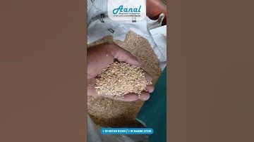 Double Roller Magnetic Separator by Aanal Magnetics | Precision Meets Power in Dry Separation