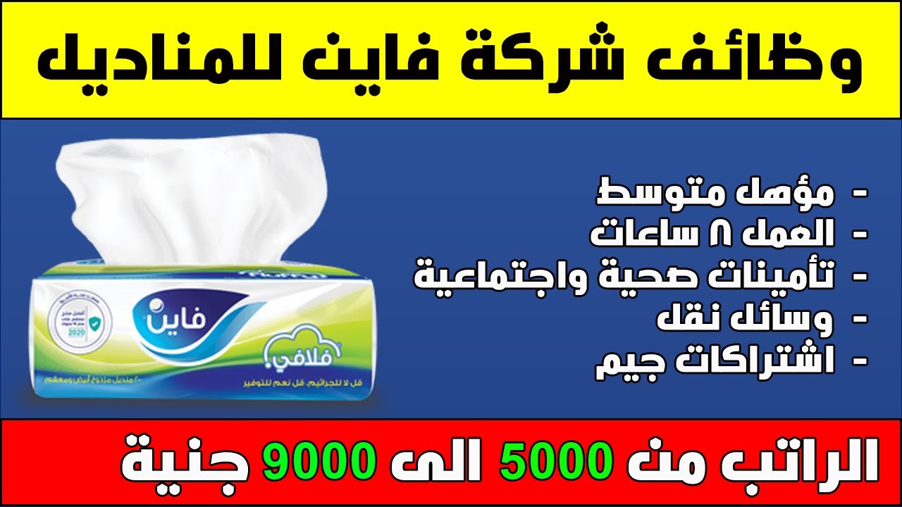 وظائف خاليه في شركة فاين للمناديل برواتب تصل 9000 جنيه وظيفتك تهمنا Youtube