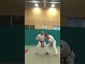 Nijushiho Kata Combination Application