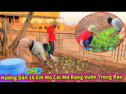 Dongpaulo || Hướng Dẫn Các Em Mồ Côi Mở Rộng Diện Tích Vườn Rau